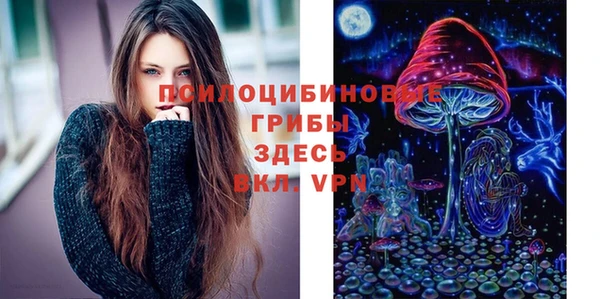таблы Надым