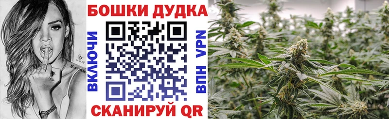 где купить наркотик  Карабаш  Шишки марихуана AK-47 